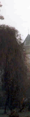 header links